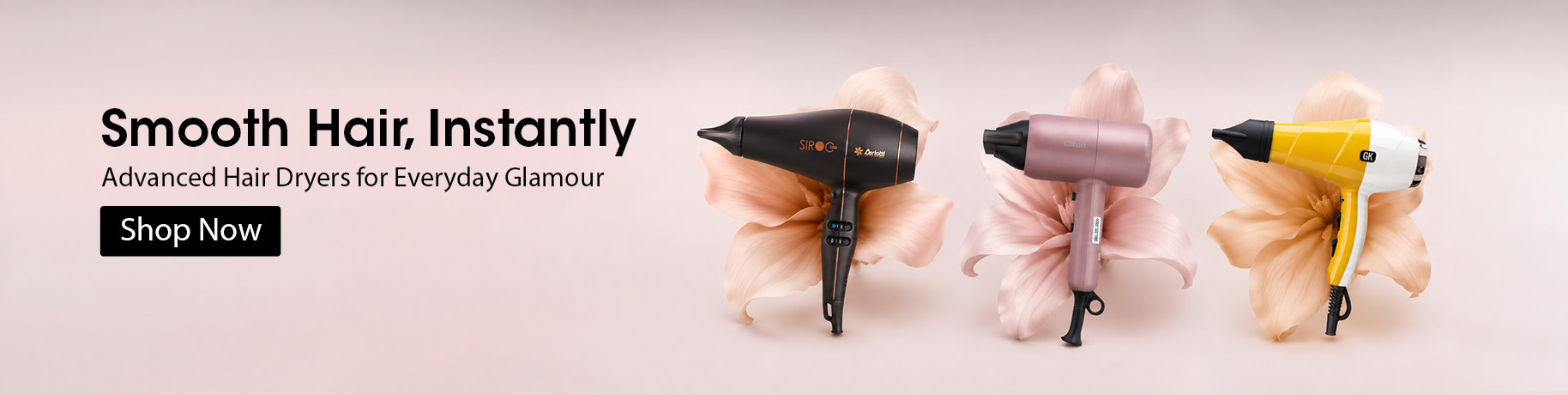 Slider Img of hair dryer Web Banner